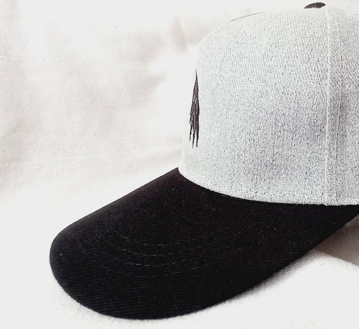 1 of 1 Corvus Embroidered Crow Snapback Cap